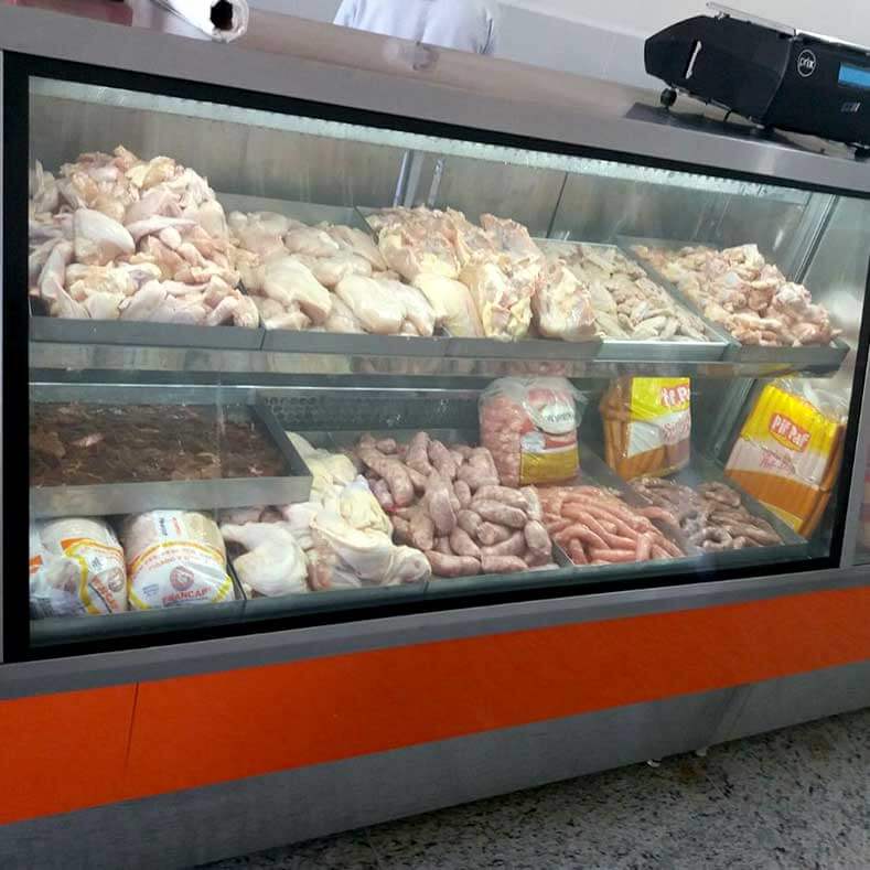 FreeArt - Expositor de carnes congeladas frost free, com vidro frontal insulado e com resistência.